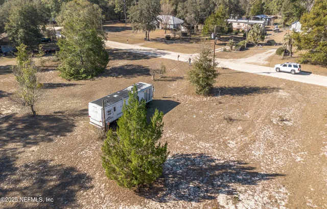 a view of a yard with plants and trees