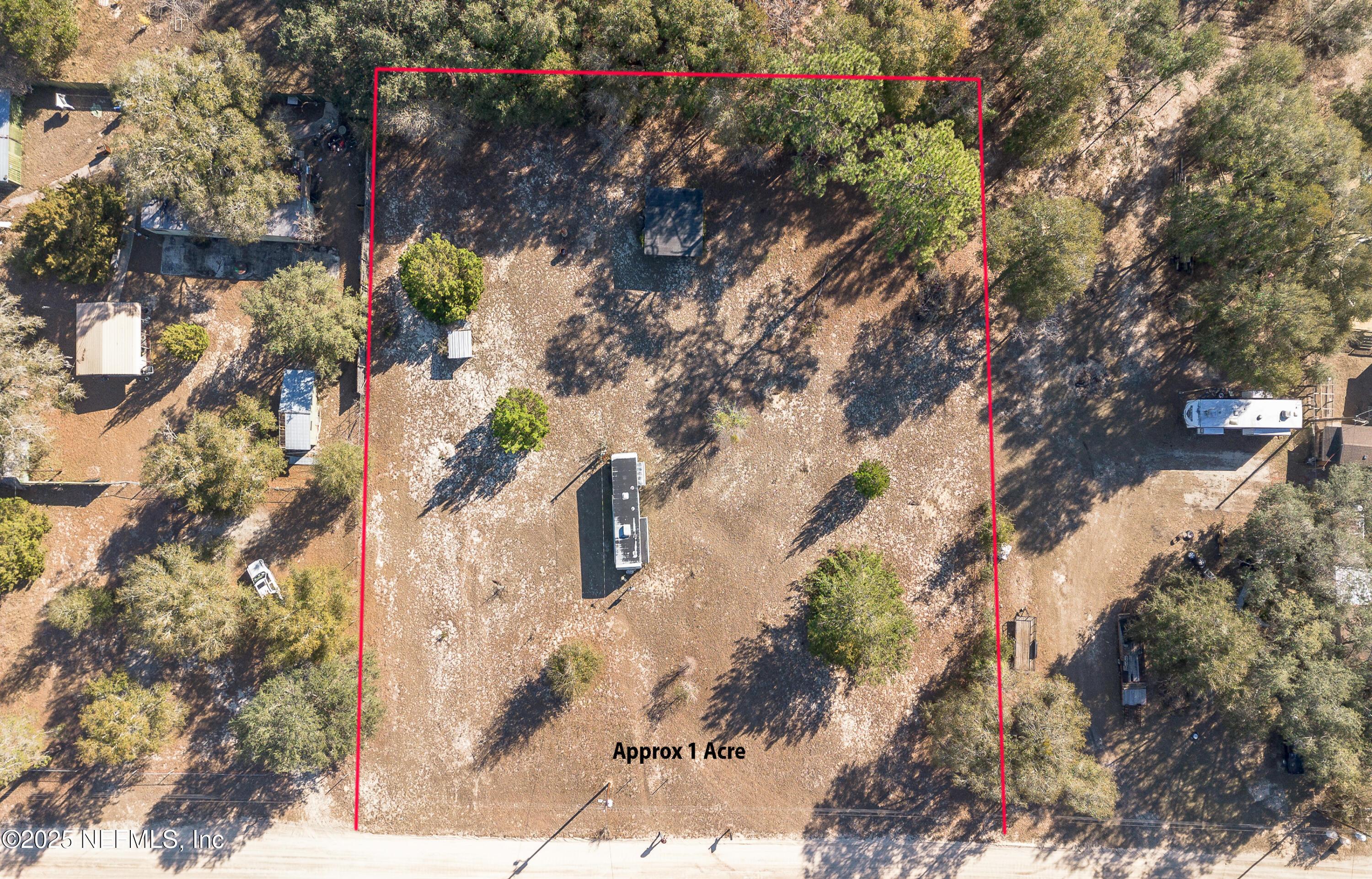 124 Shiloh Road Melrose, FL 32666 - Photo 5 of 10 a view of a tree in a yard