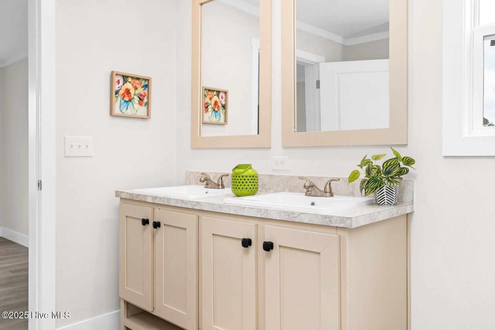 1155 Nick Coley Road Whitakers, NC 27891 - Photo 19 of 32 Dual Vanity