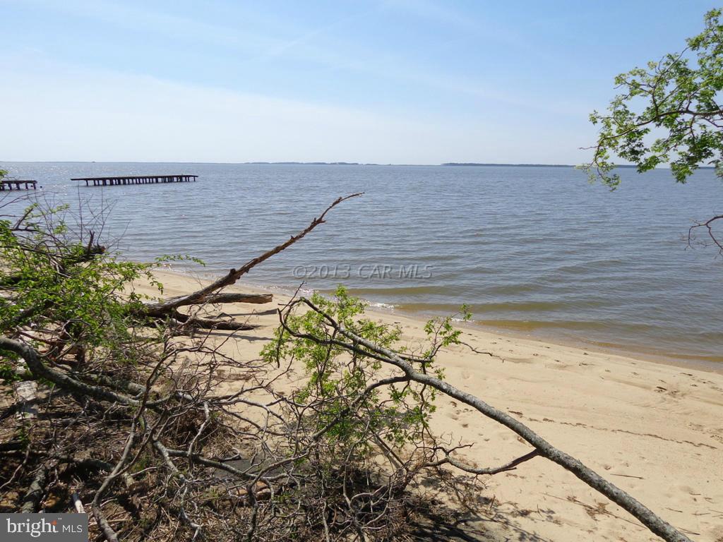 20810 Bivalve Lodge Road Bivalve, MD 21814 - Photo 7 of 11 Gallery Image 7