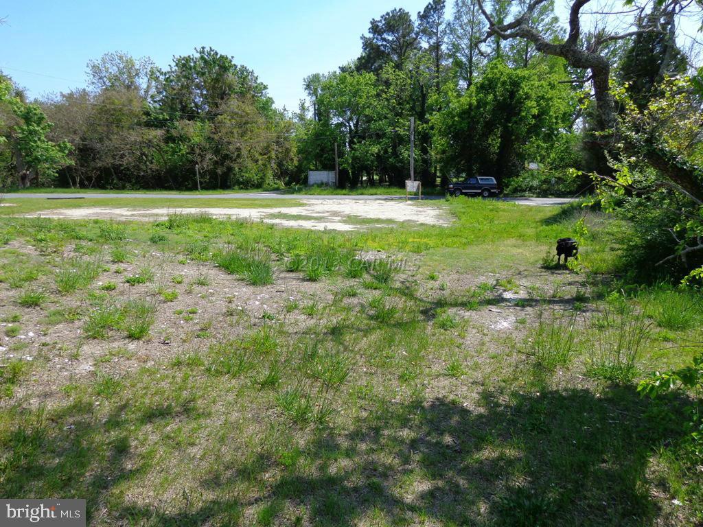 20810 Bivalve Lodge Road Bivalve, MD 21814 - Photo 8 of 11 Gallery Image 8