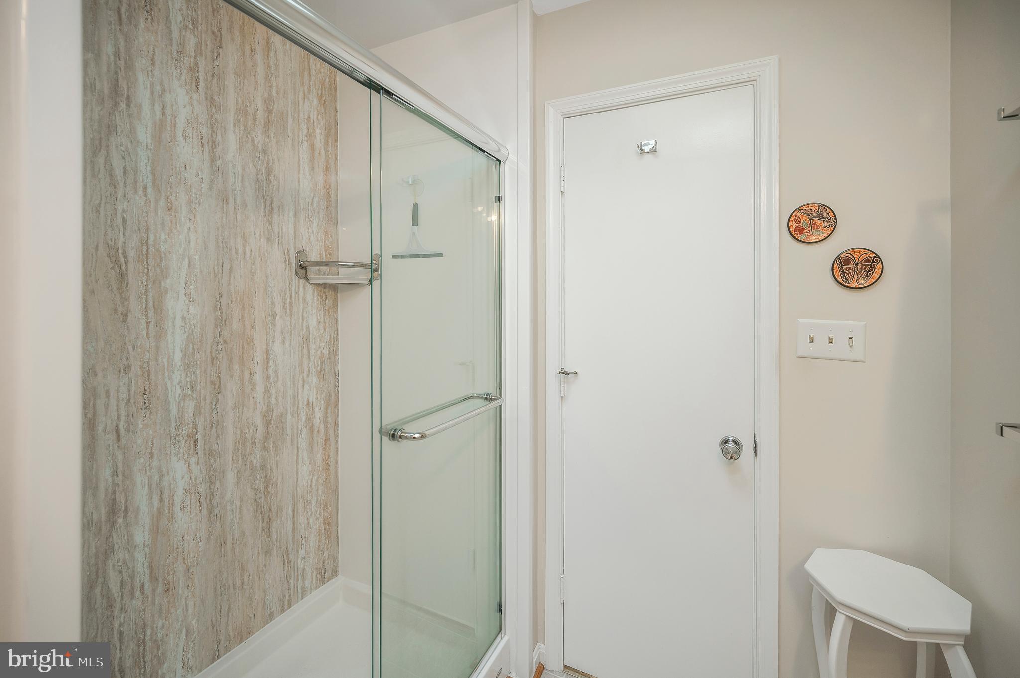 126 Greenspring Road Locust Grove, VA 22508 - Photo 36 of 90 walk in shower