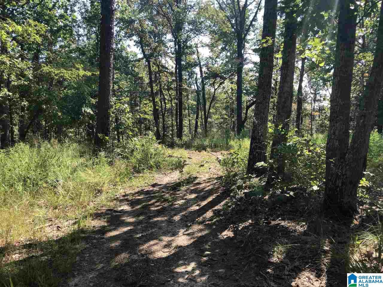 200-acres High Road, Unit 200 ACRES Pell City, AL 35128 - Photo 9 of 17