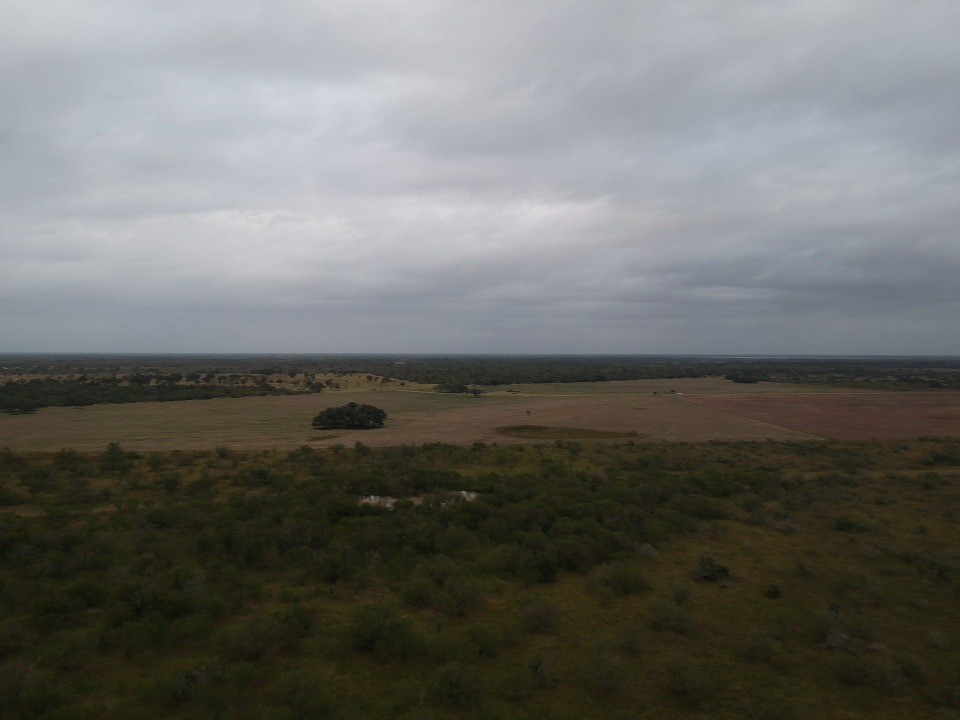 15 Jackson Road Refugio, TX 78377 - Photo 4 of 7