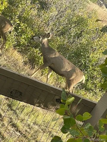 a living room with fireplace furniture and a flat screen tv
