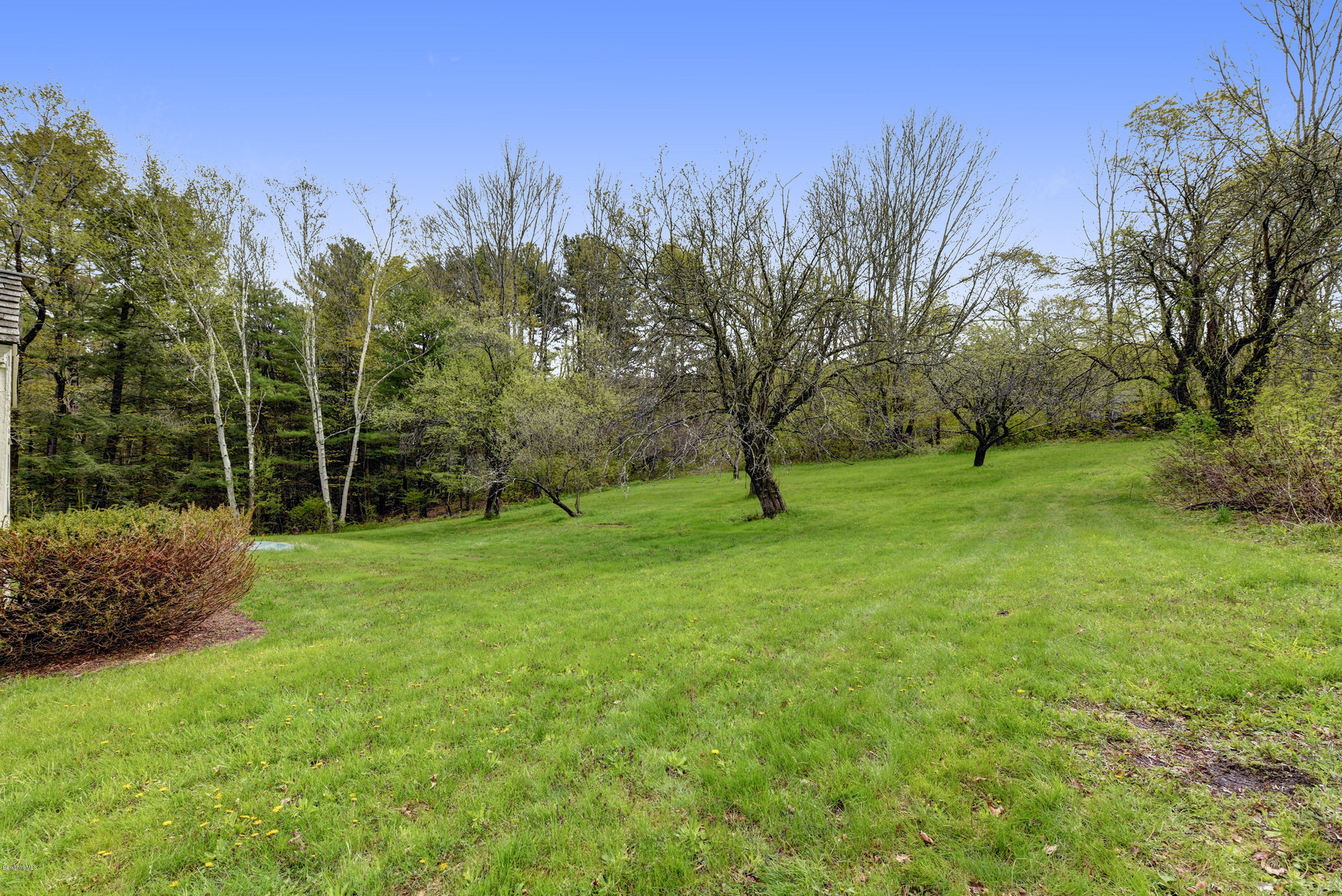82 Hammertown Road Sandisfield, MA 01255 - Photo 17 of 49 a view of a garden with a tree
