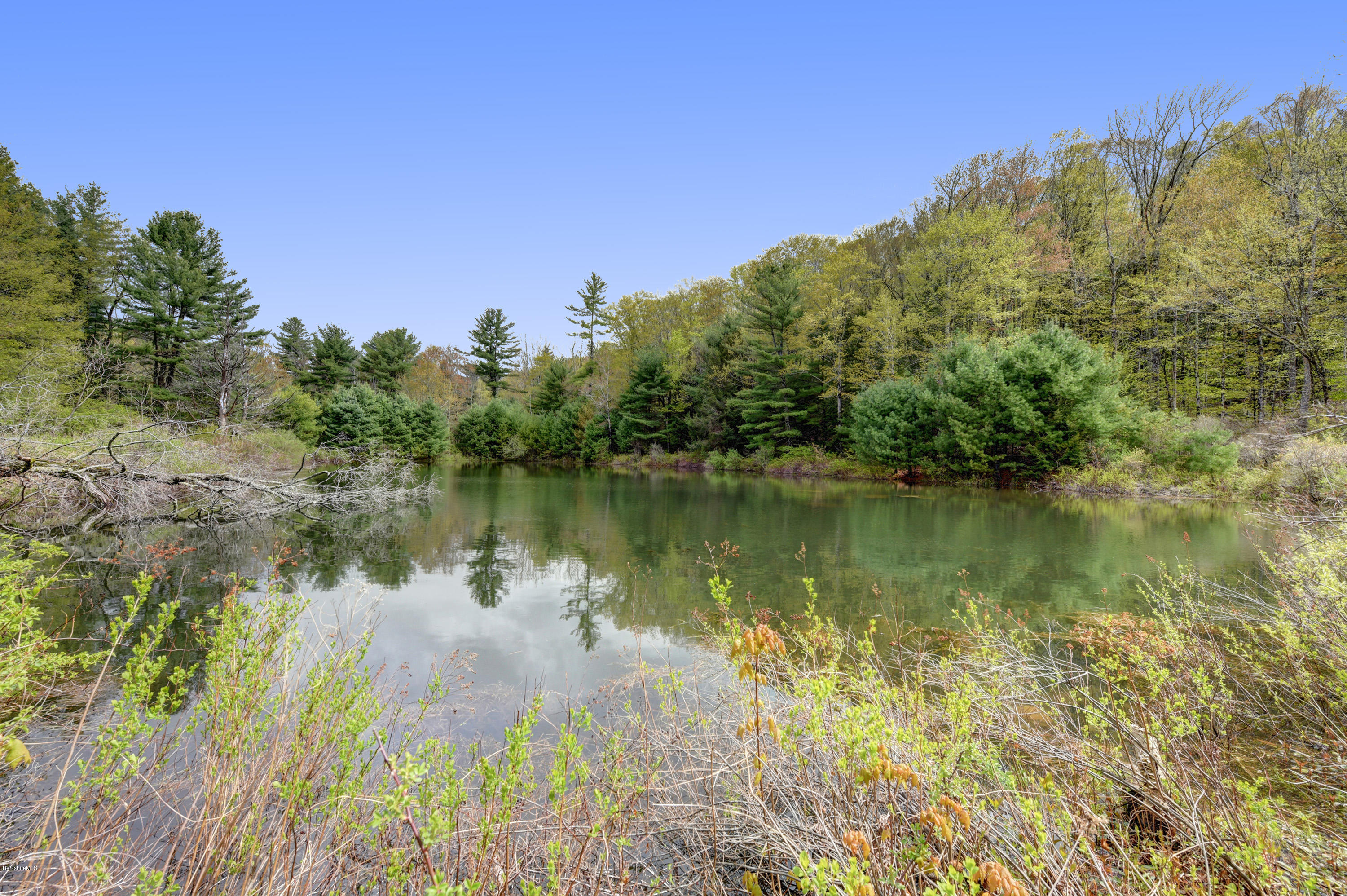 82 Hammertown Road Sandisfield, MA 01255 - Photo 19 of 49 a backyard of a house with a lake view