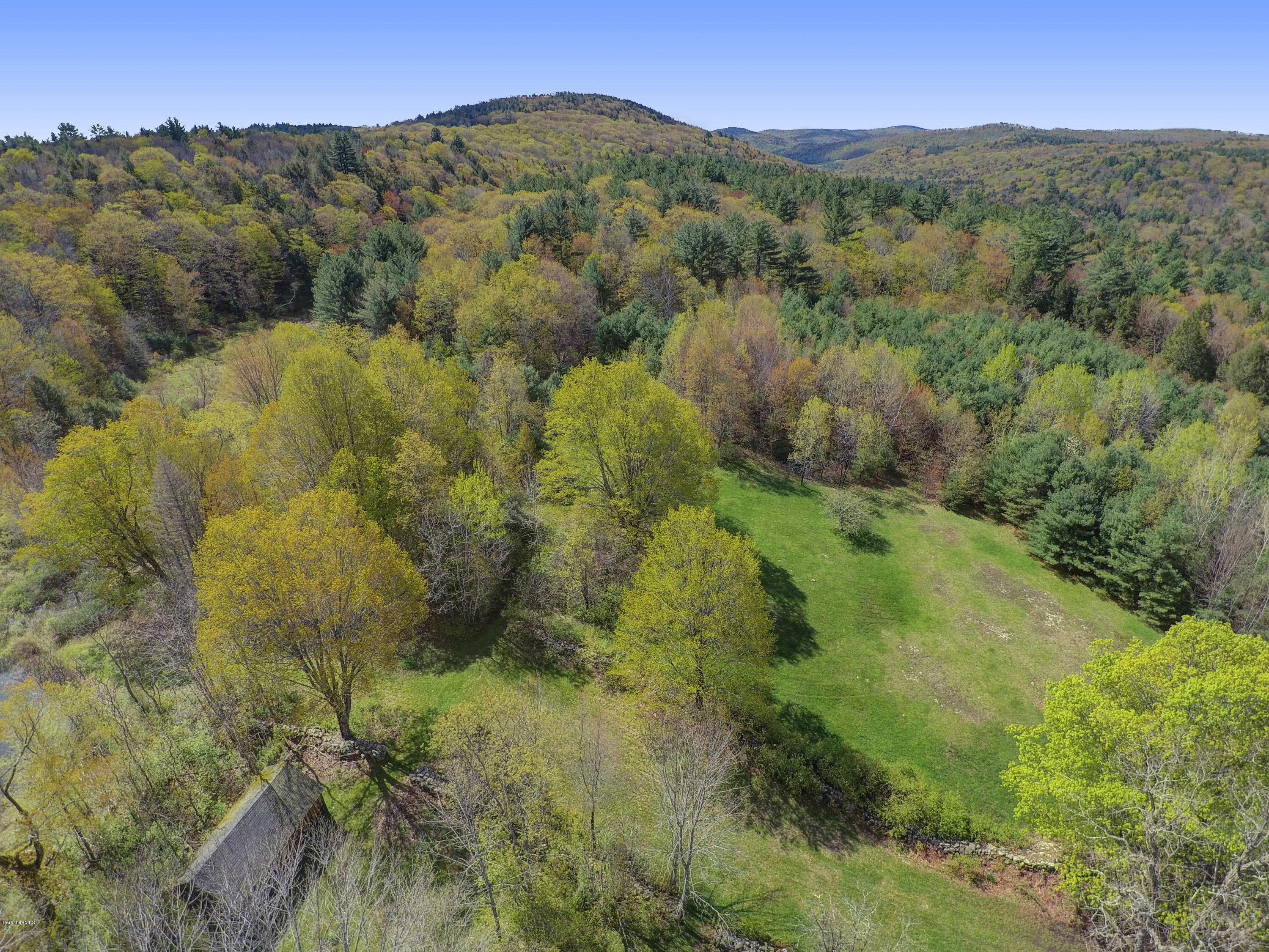 82 Hammertown Road Sandisfield, MA 01255 - Photo 23 of 49 a view of a lush green forest with a street