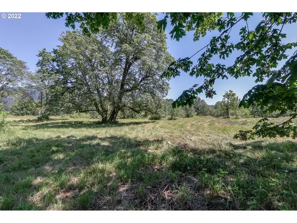 a view of outdoor space with yard