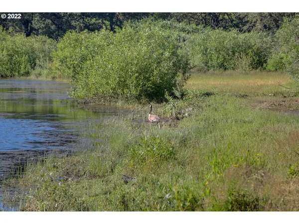a view of a lake view