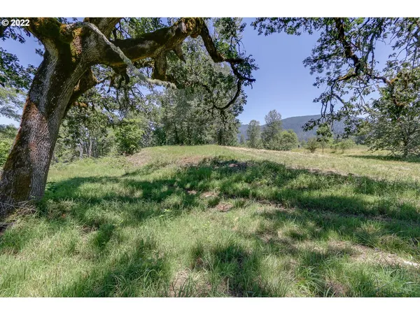 a view of a field with a tree