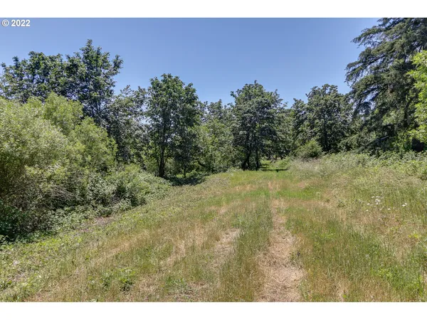 a view of a yard with a tree