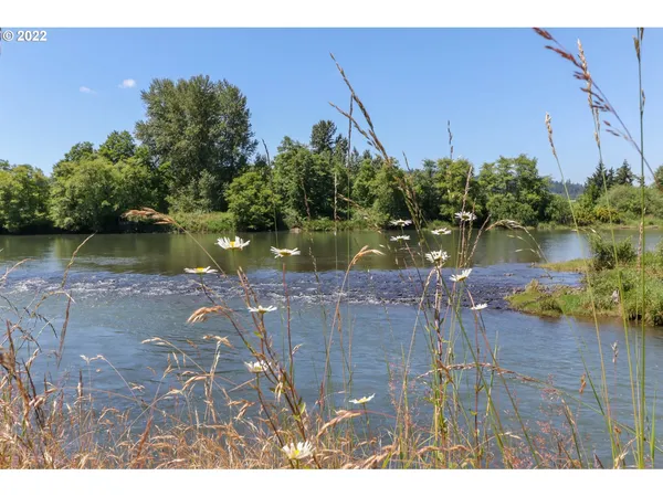 a view of a lake with a yard