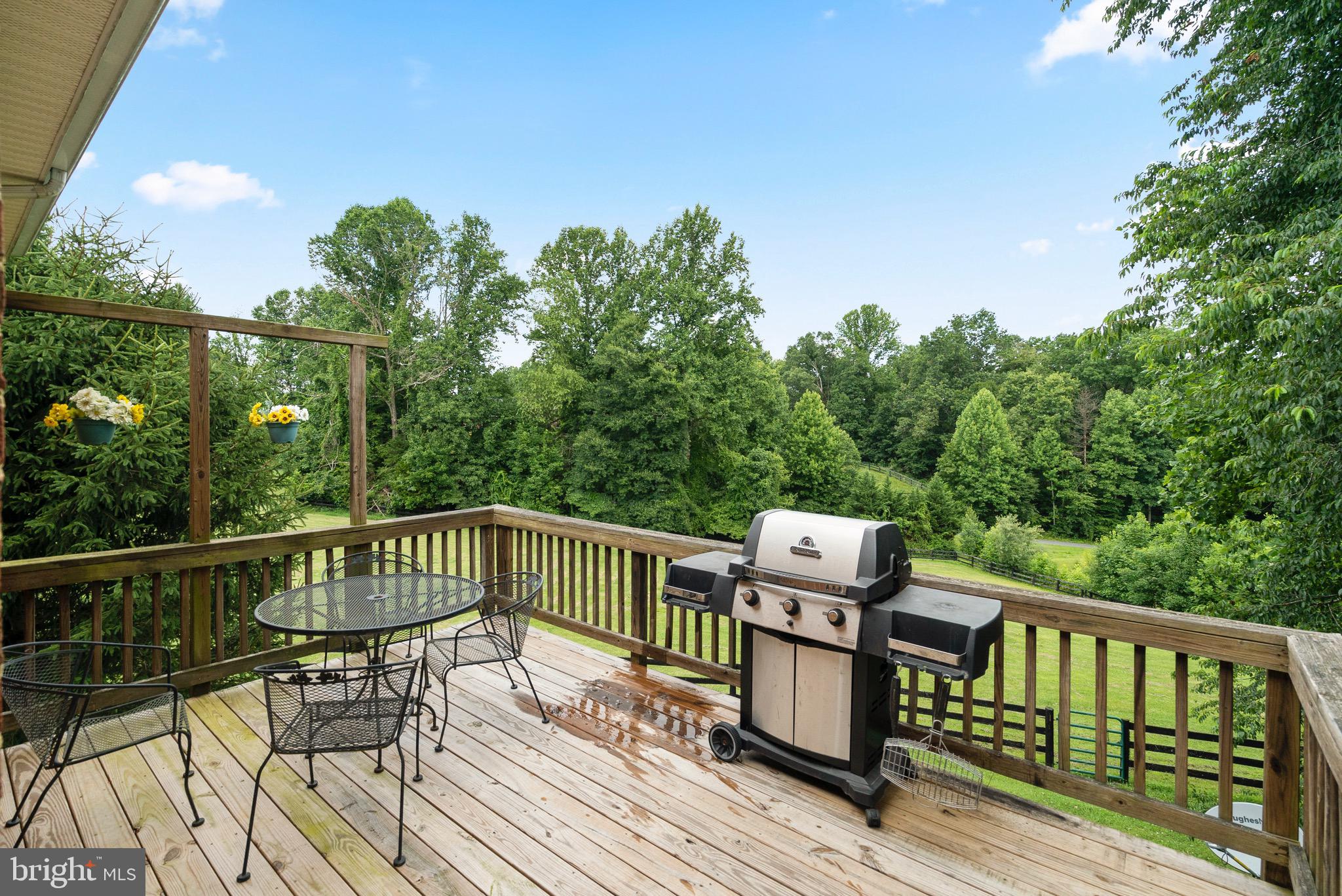 9674 Ridge View Drive Marshall, VA 20115 - Photo 39 of 42