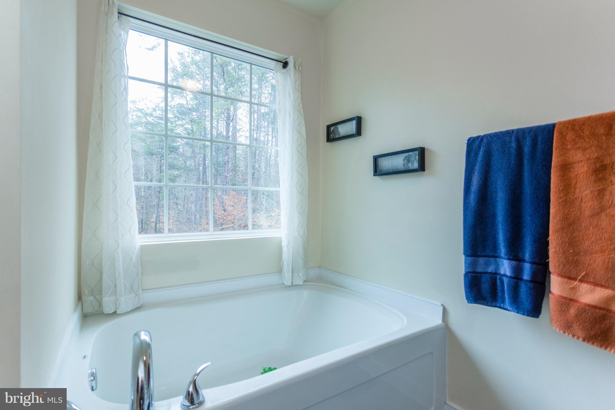 327 Roni Lane Louisa, VA 23093 - Photo 19 of 30 Bath (Master)