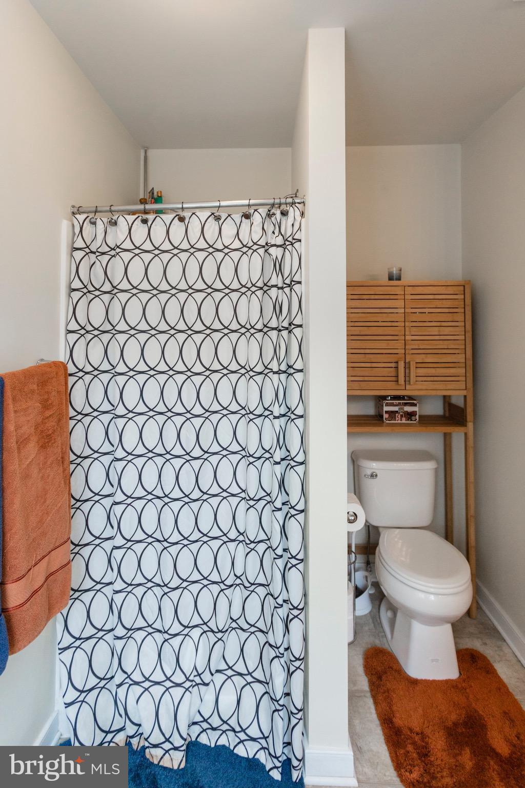 327 Roni Lane Louisa, VA 23093 - Photo 20 of 30 Bath (Master)