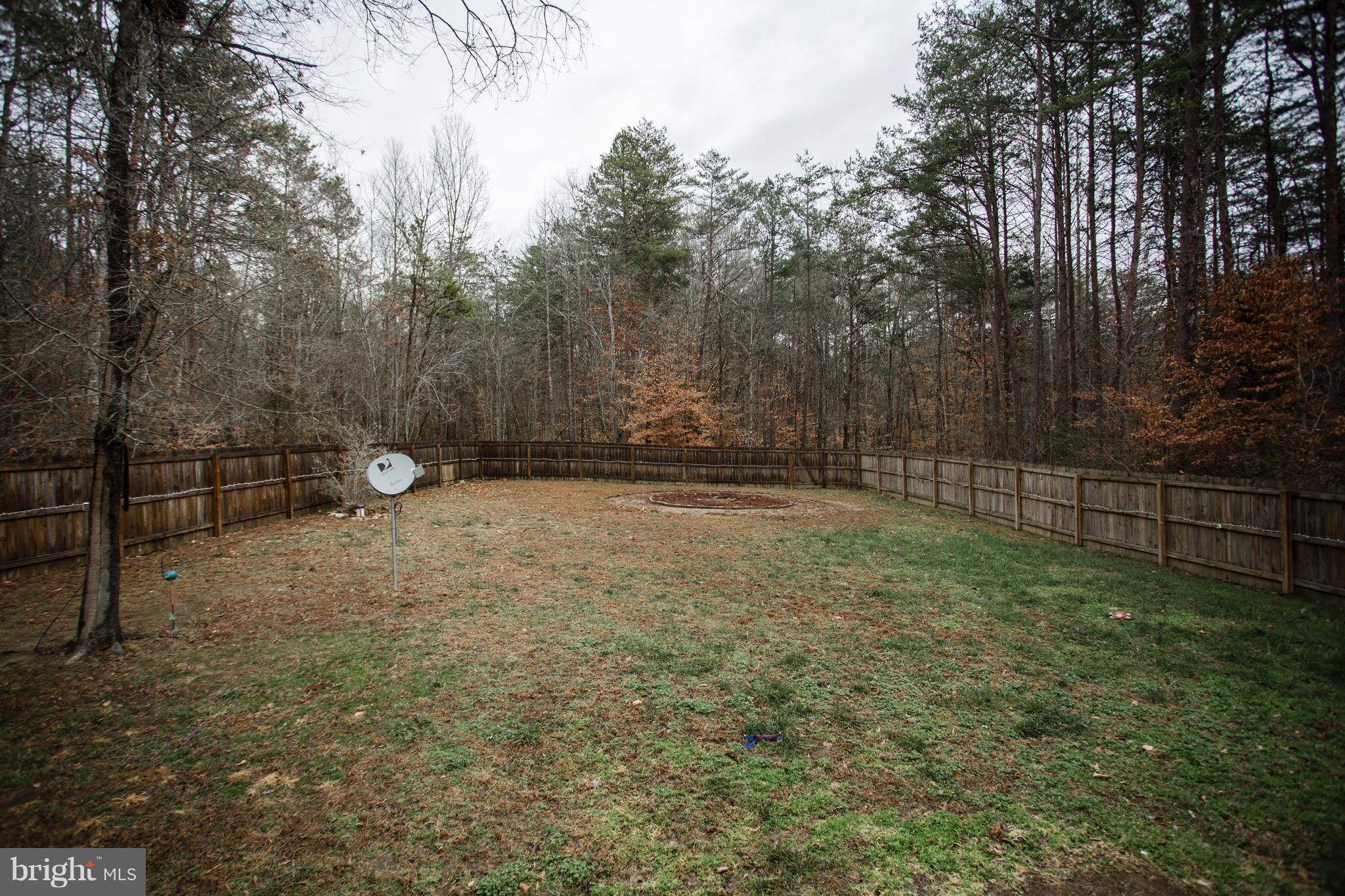 327 Roni Lane Louisa, VA 23093 - Photo 29 of 30 Exterior (Rear)