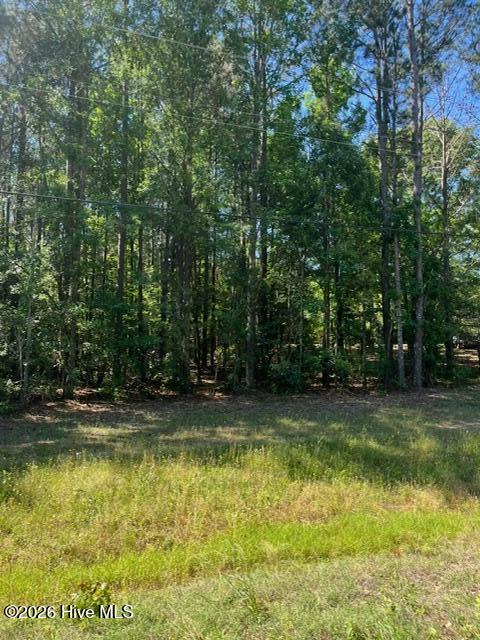0 Cobbham Road Appling, GA 30802 - Photo 3 of 3 IMG_6028