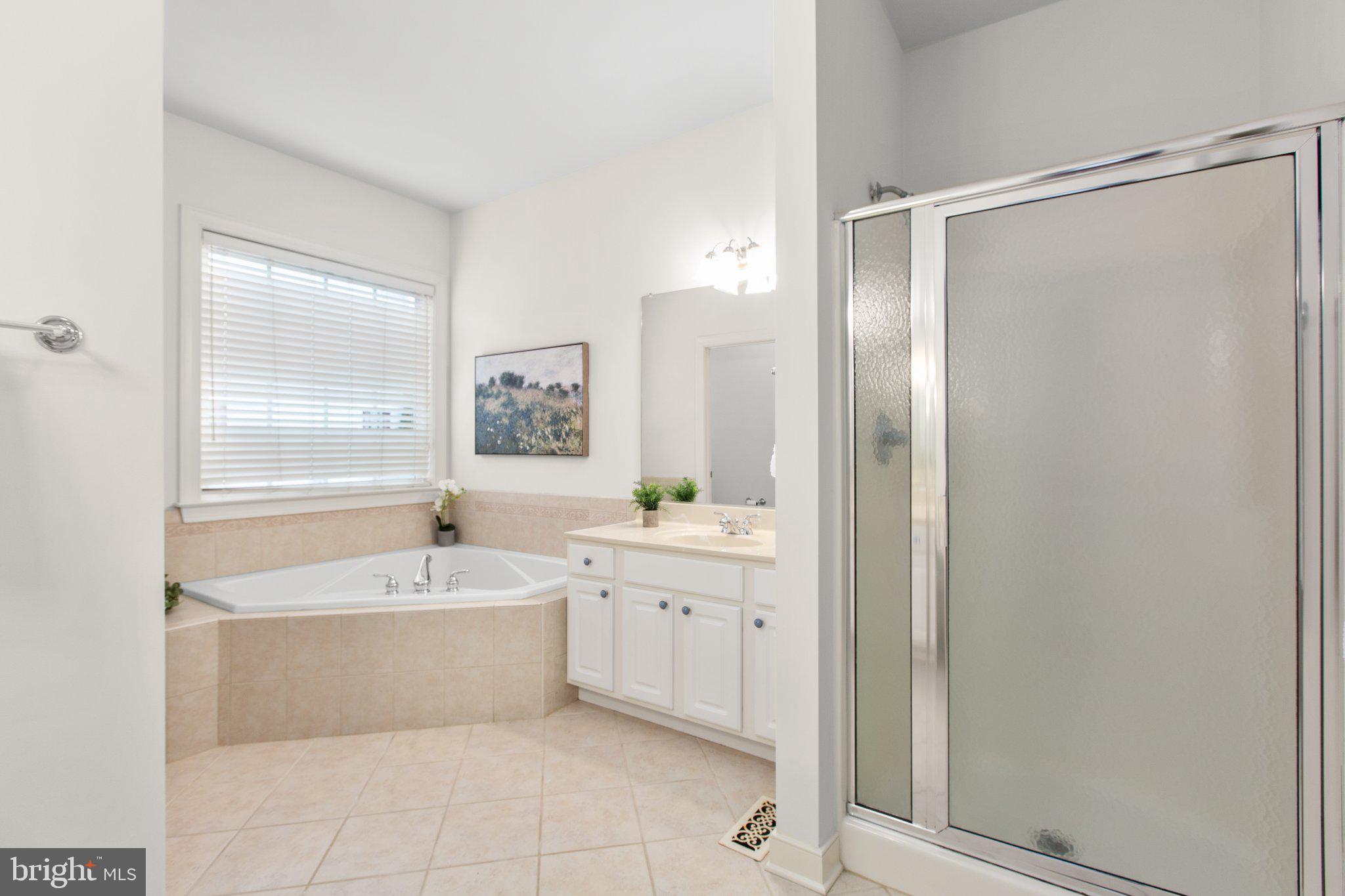 11012 Park Ridge Road Fredericksburg, VA 22408 - Photo 16 of 39 Main Level Owner's Ensuite Bath walk-in shower