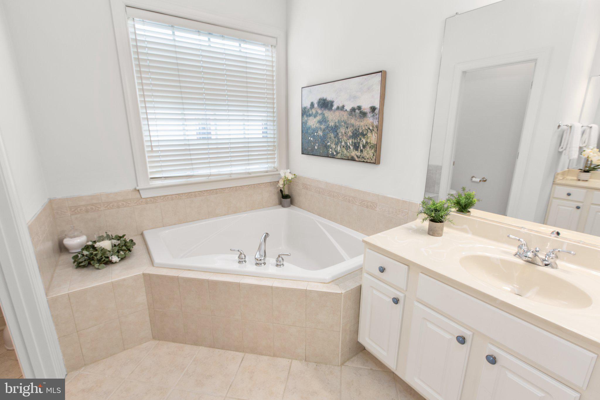 11012 Park Ridge Road Fredericksburg, VA 22408 - Photo 18 of 39 Main Level Owner's Ensuite Bath Soaking Tub