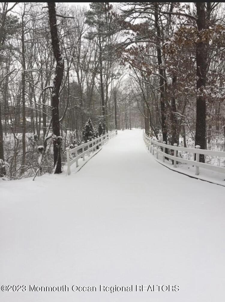 310 Easy Street Howell, NJ 07731 - Photo 41 of 45 WINTER DRIVEWAY