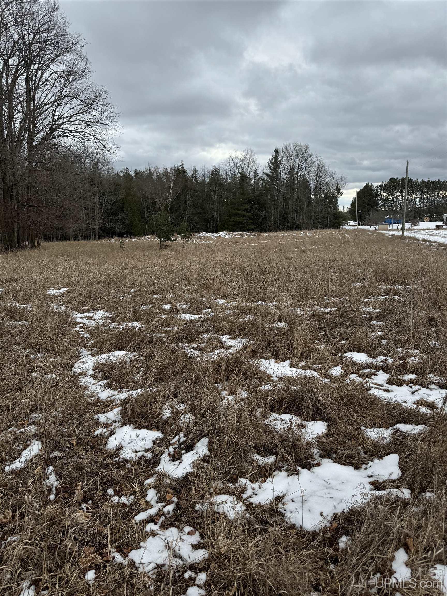 Tbd 14th Road Escanaba, MI 49829 - Photo 9 of 31