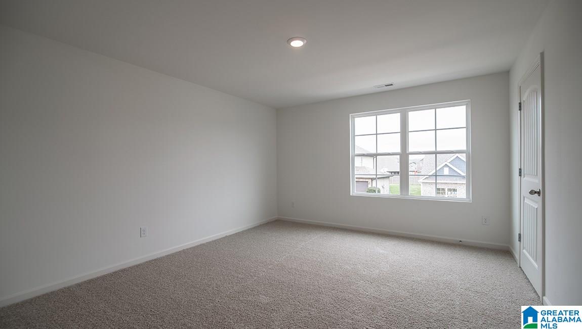 22724 Duffee Lane McCalla, AL 35111 - Photo 20 of 25