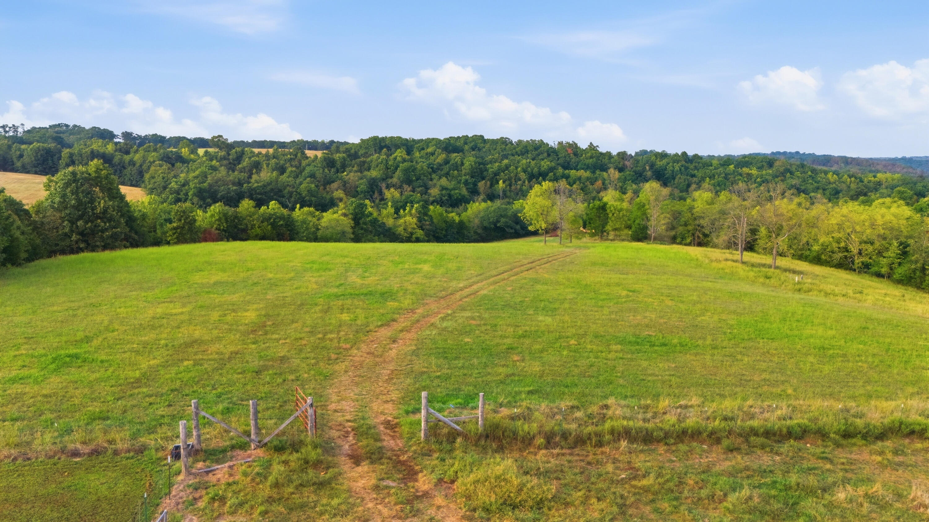 977 State Rte 137 Willow Springs, MO 65793 - Photo 78 of 86 977_State_Route_137_Willow_Springs_075