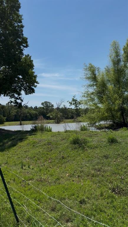 720 Haggerty Road Karnack, TX 75661 - Photo 5 of 39 a view of a lake with houses in the back