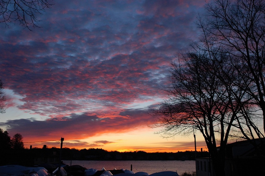 64 Gregory Street Marblehead, MA 01945 - Photo 26 of 26