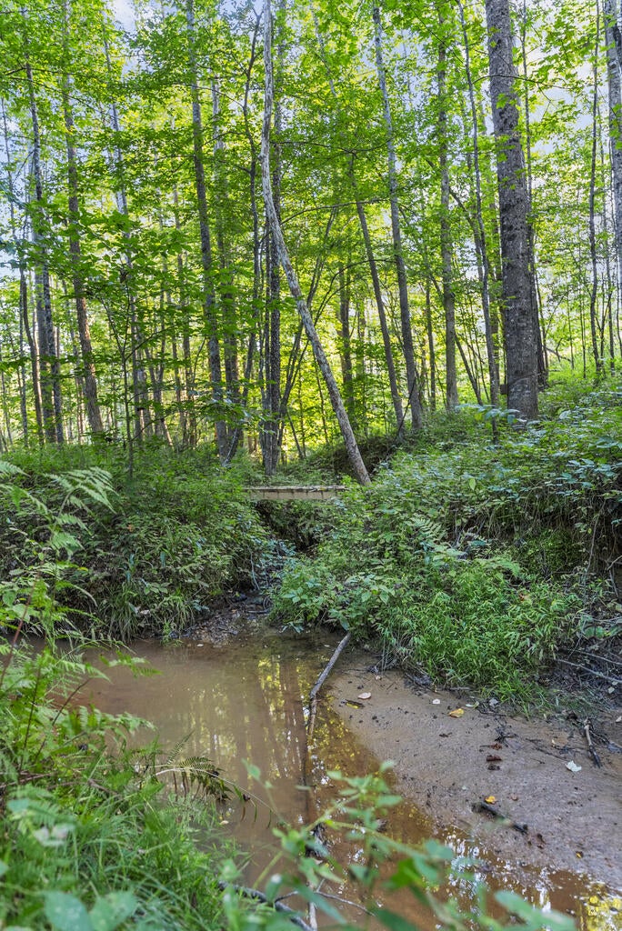 0 Gully Tavern Road Rice, VA 23966 - Photo 19 of 25 Gallery Image 19