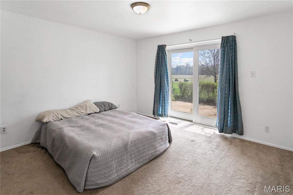 26152 Beltrees Road Dow, IL 62022 - Photo 22 of 40