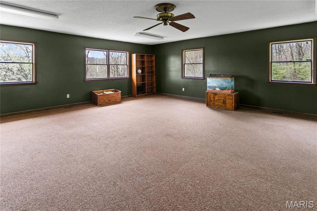 26152 Beltrees Road Dow, IL 62022 - Photo 30 of 40