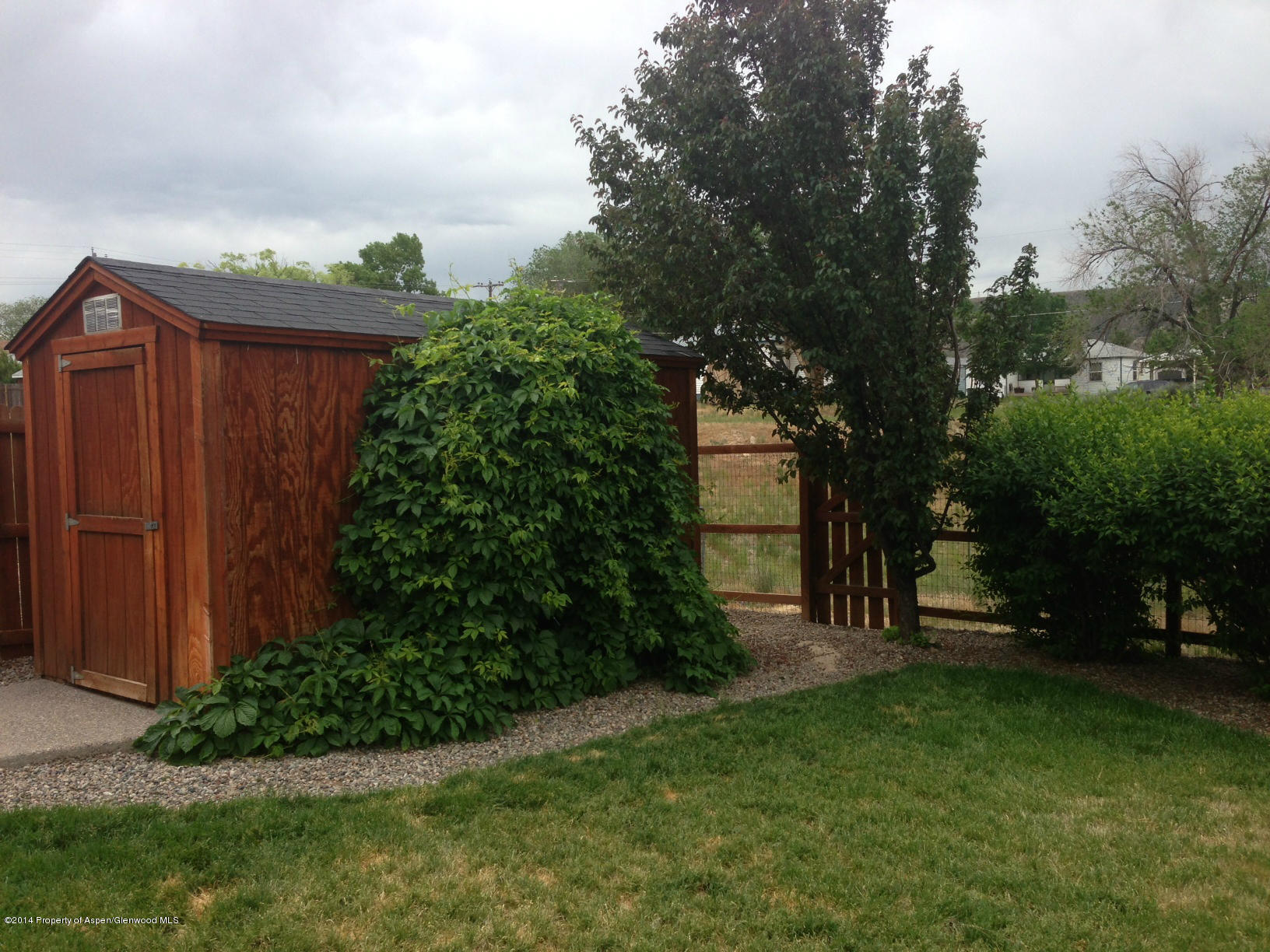 1001 Arnold Court Rifle, CO 81650 - Photo 39 of 39 a view of a backyard with plants and a large tree