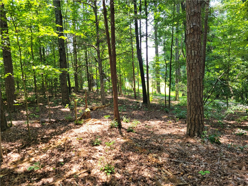 306 Foxfire Road Central, SC 29630 - Photo 12 of 12
