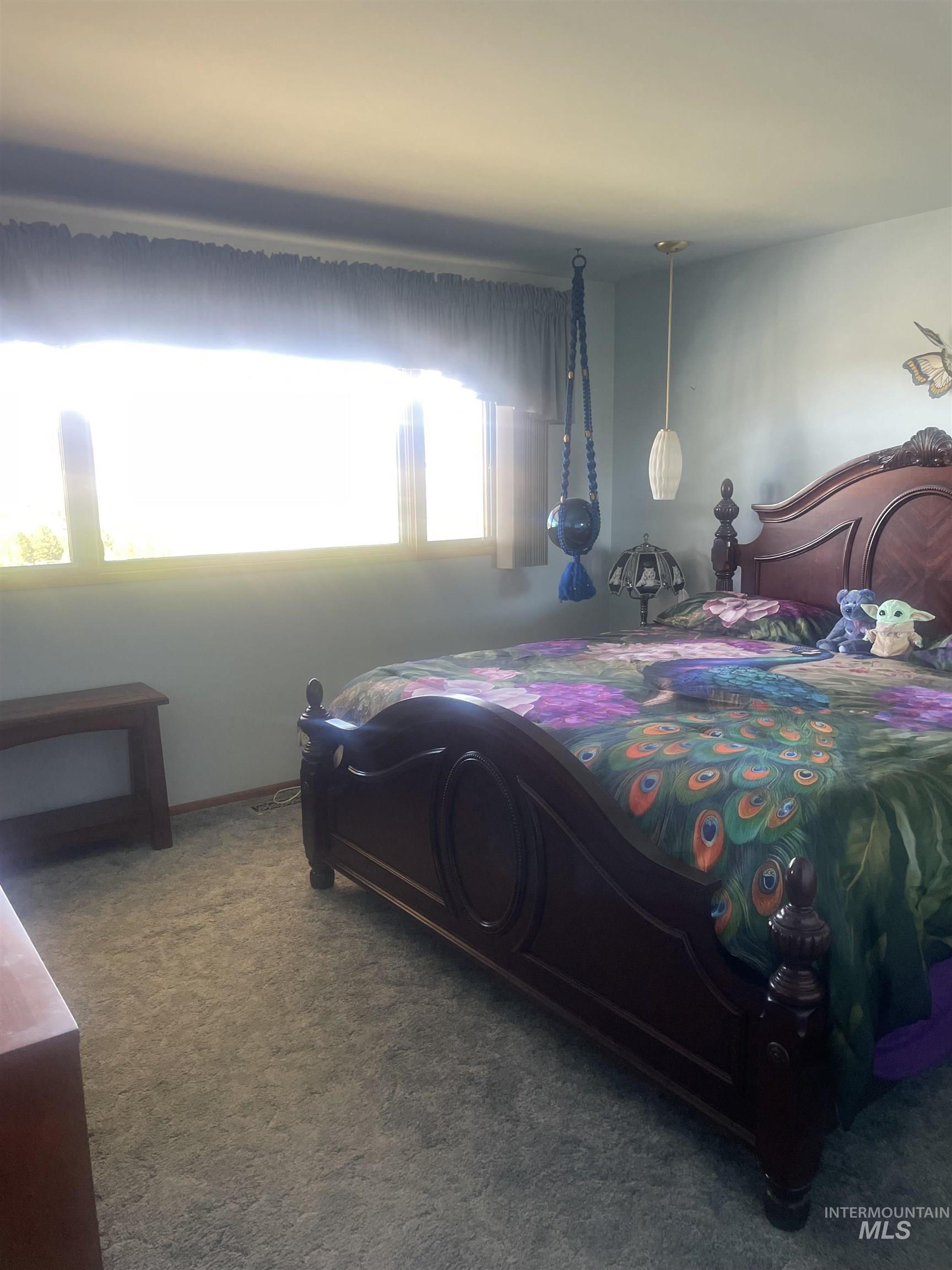 2002 Missman Road Council, ID 83612 - Photo 17 of 38 Bedroom featuring carpet floors