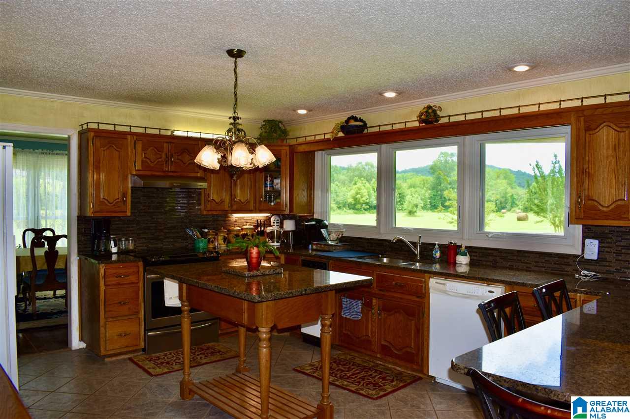 3775 Tidwell Hollow Road Oneonta, AL 35121 - Photo 19 of 49