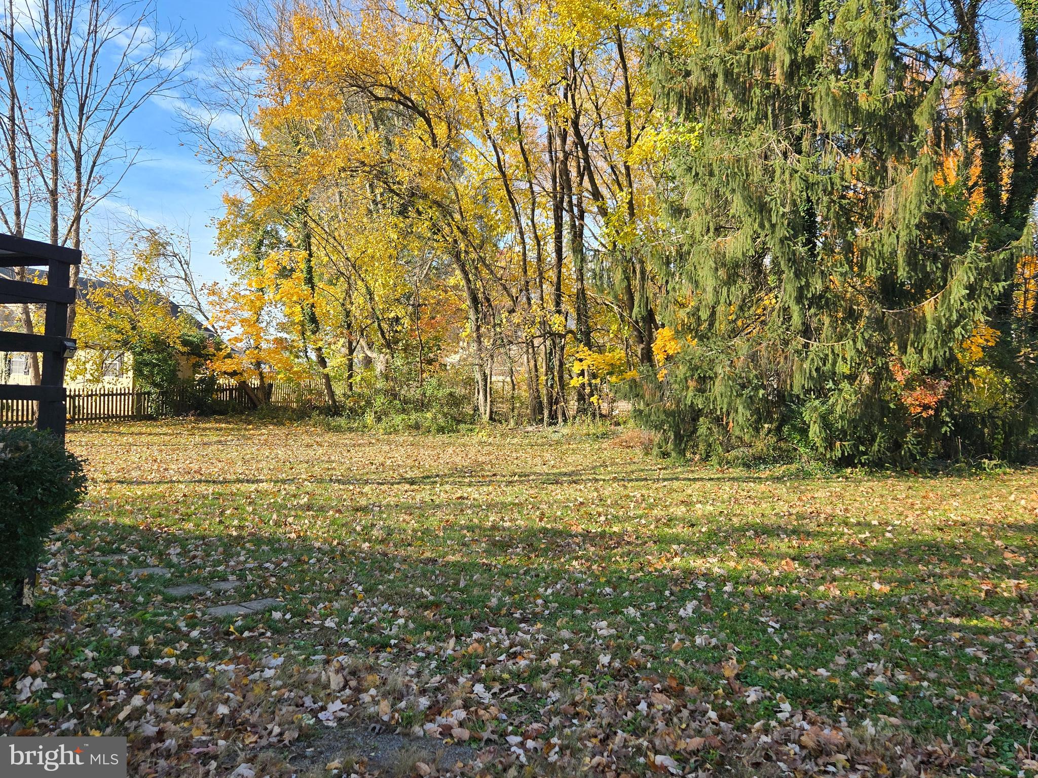 341 South 26th Street, Unit A Purcellville, VA 20132 - Photo 4 of 33 a view of yard with large trees