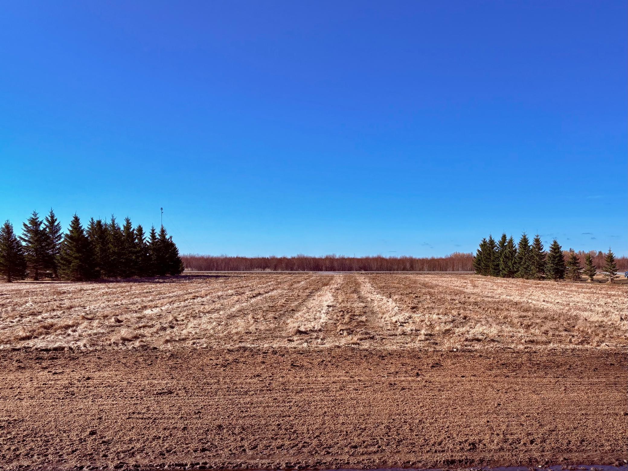 Lot 2 Badger Road Baudette, MN 56623 - Photo 11 of 12