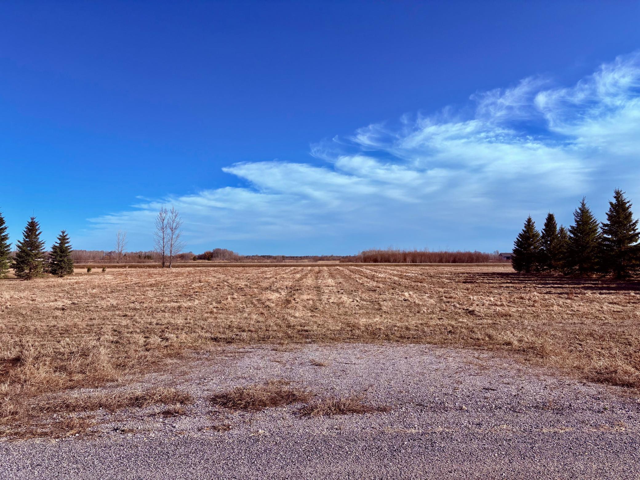 Lot 2 Badger Road Baudette, MN 56623 - Photo 8 of 12