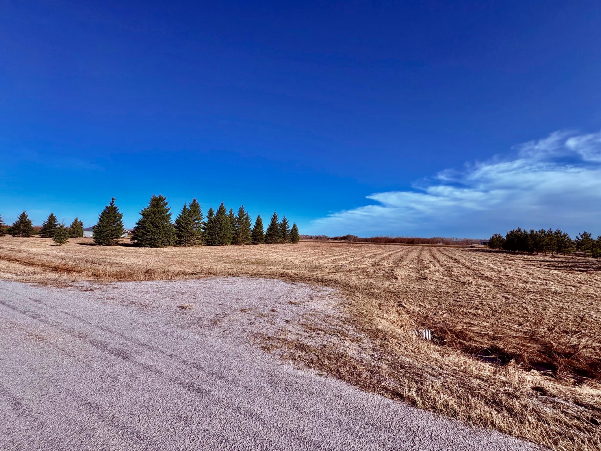 Lot 2 Badger Road Baudette, MN 56623 - Photo 9 of 12