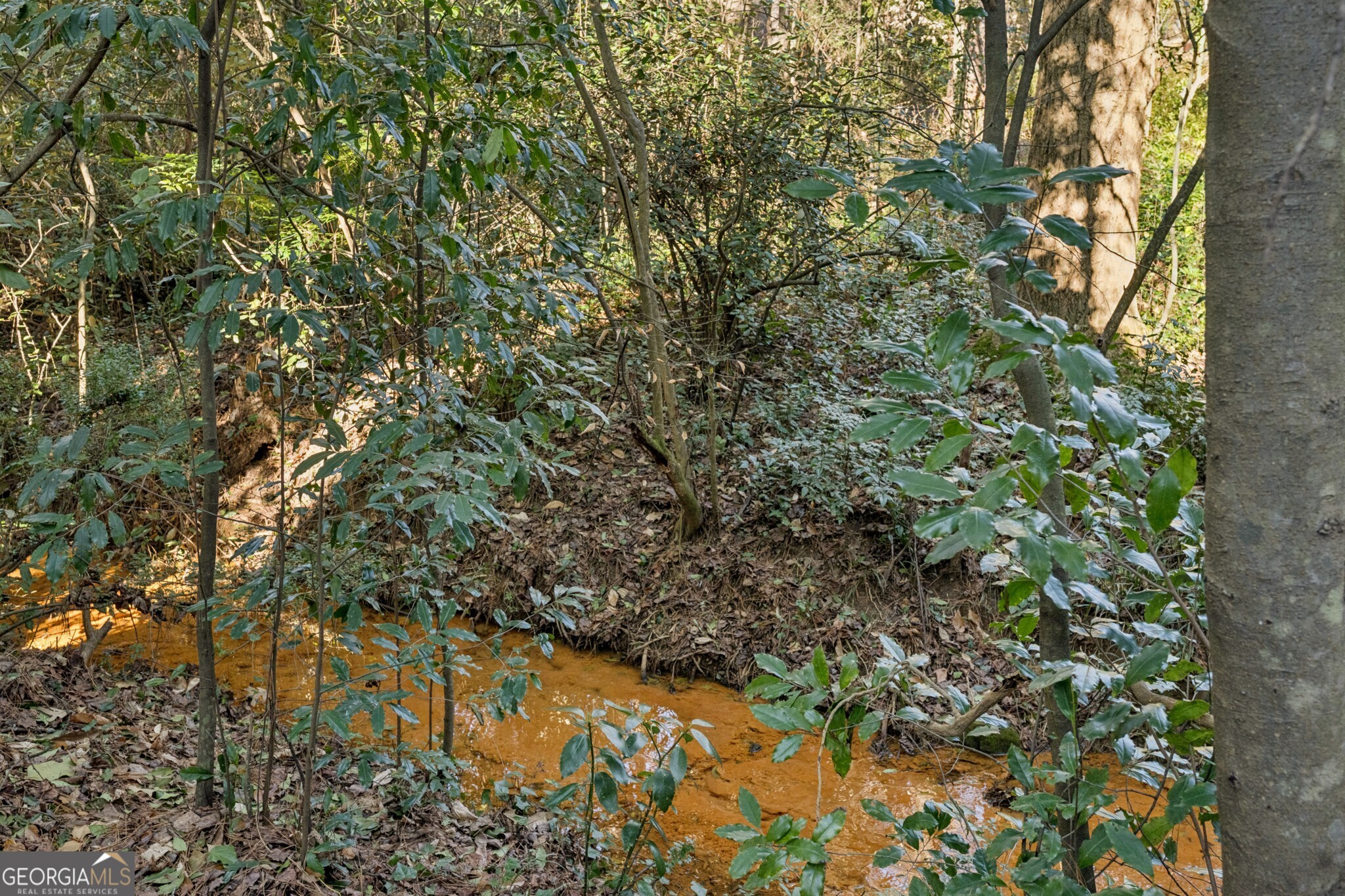 1810 Fairoaks Road Decatur, GA 30033 - Photo 46 of 52 Peaceful Wooded Surroundings