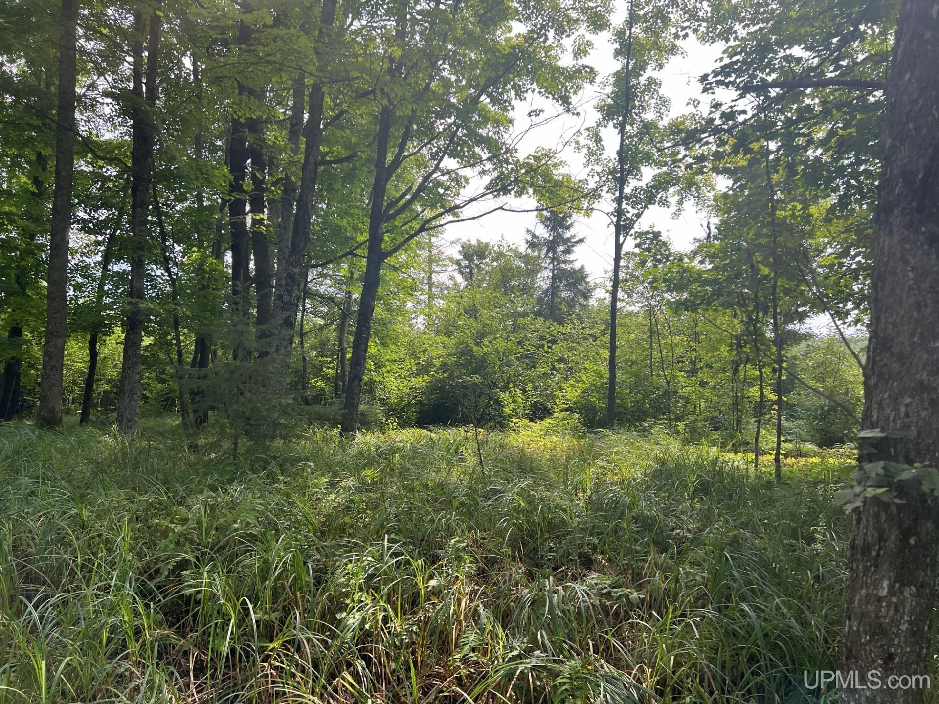 Tbd West Brule Lake Road Iron River, MI 49935 - Photo 3 of 4