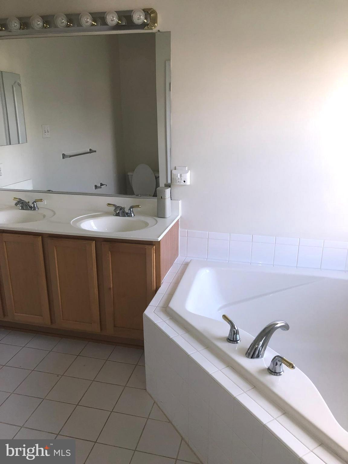 9765 Evening Bird Lane Laurel, MD 20723 - Photo 14 of 14 bathroom