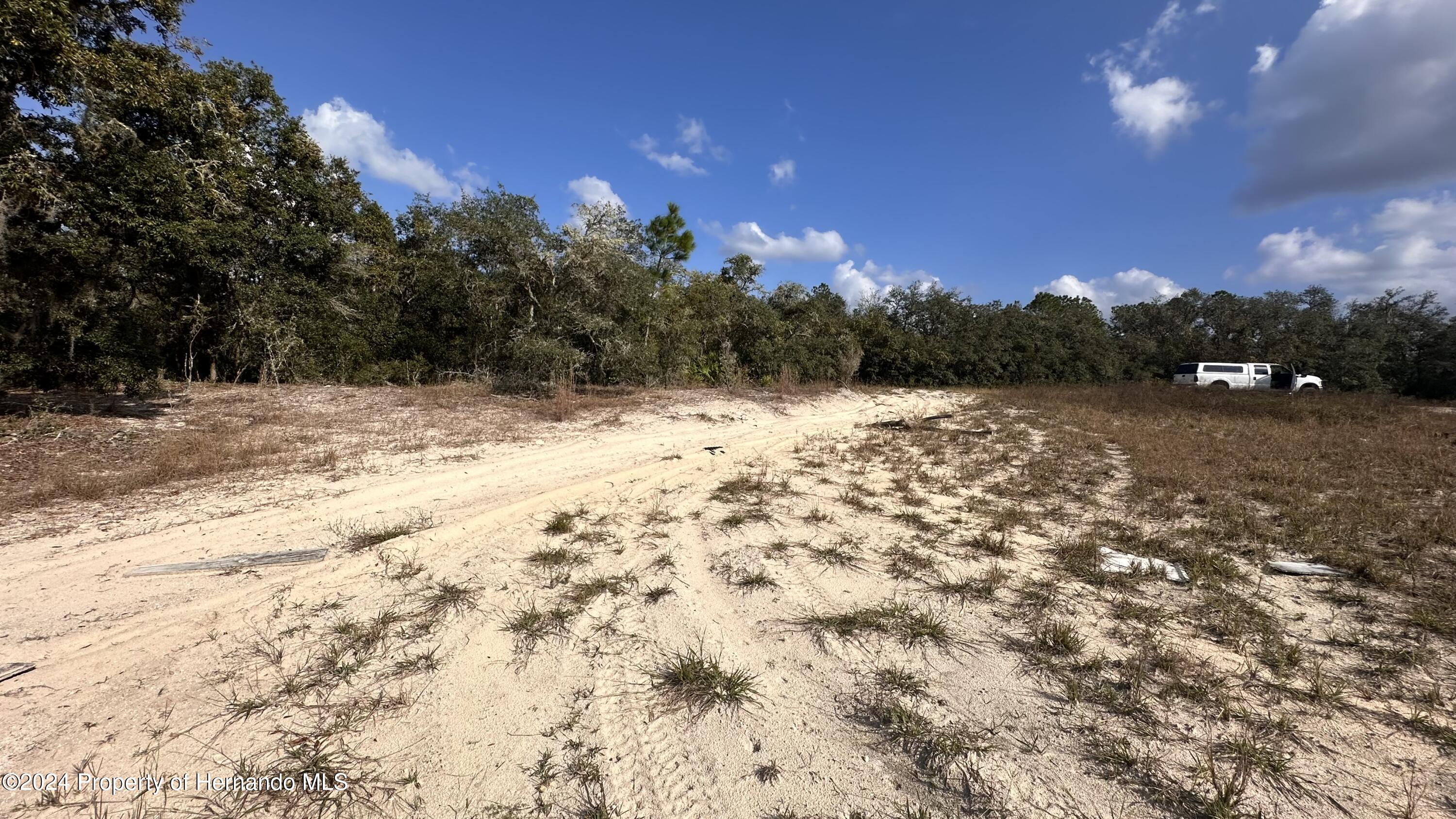 0 Coldrock Dr Ridge Manor Webster, FL 33597 - Photo 12 of 12 a view of a yard with a tree