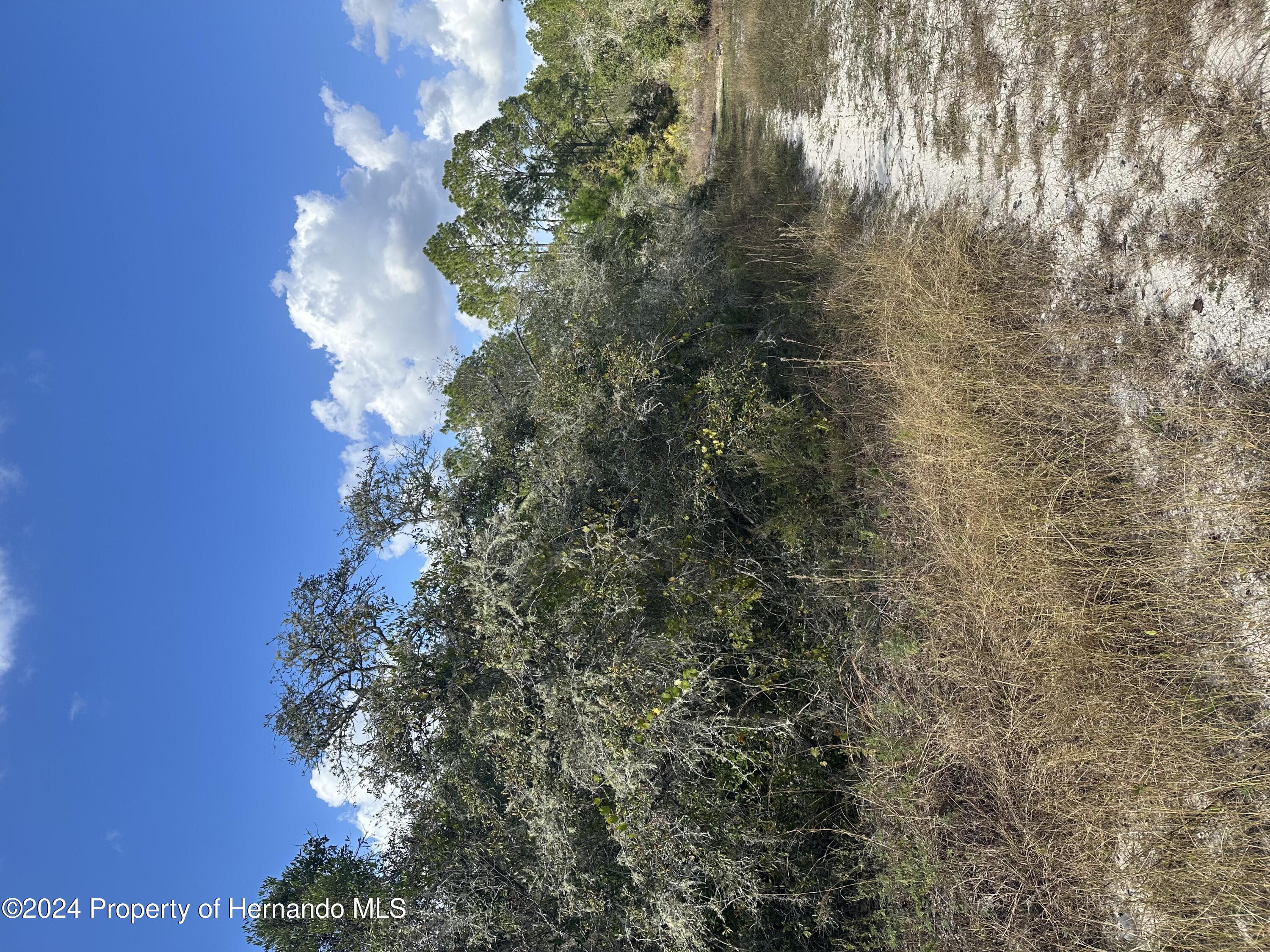 0 Coldrock Dr Ridge Manor Webster, FL 33597 - Photo 3 of 12 a view of a lake with a building in front of it