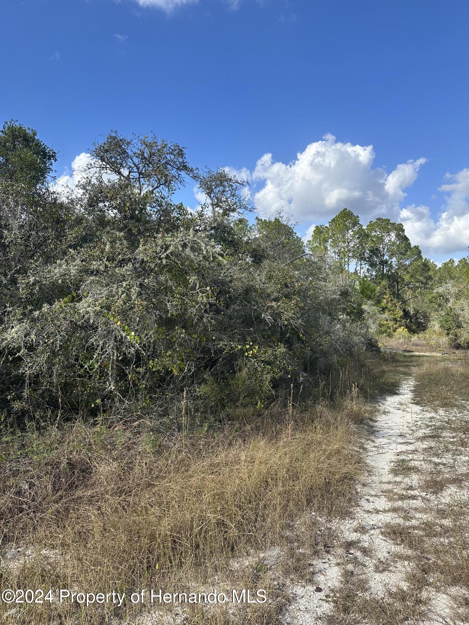 0 Coldrock Dr Ridge Manor Webster, FL 33597 - Photo 6 of 12 a view of a lake with a building in back