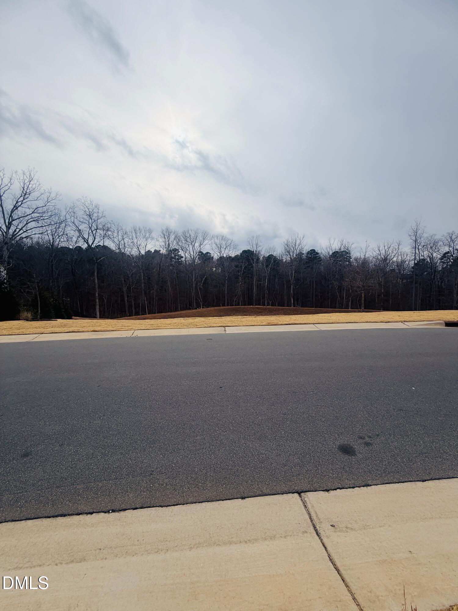 5406 Ripplebrook Drive Durham, NC 27712 - Photo 7 of 7 IMG_4877