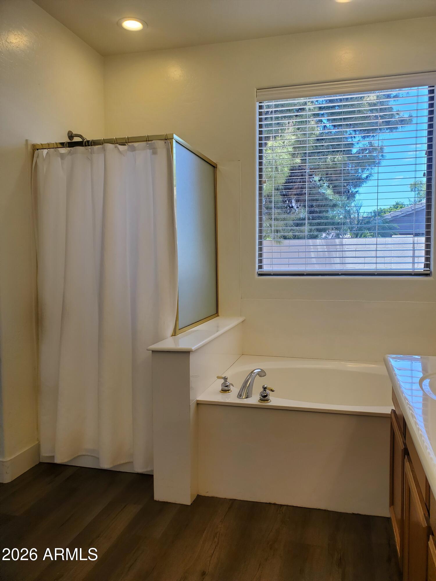 2430 East Darrel Road Phoenix, AZ 85042 - Photo 36 of 64 Primary Bathroom