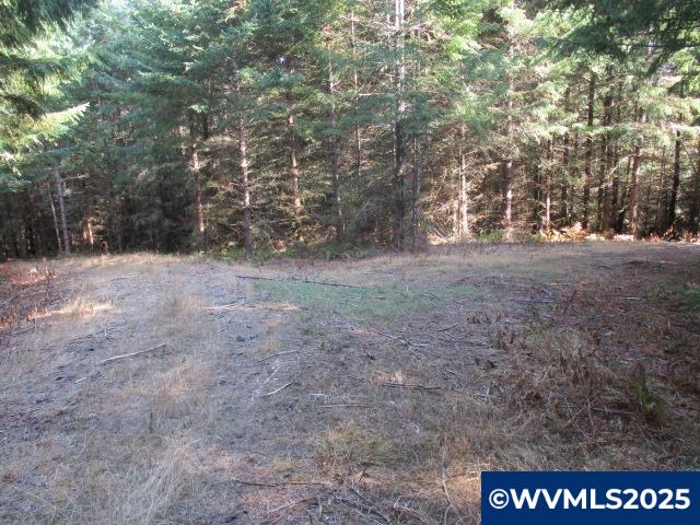 Lot 900-901 Hazelnut Ridge Road Scotts Mills, OR 97375 - Photo 14 of 23 Gallery Image 14